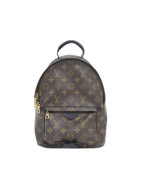 Louis Vuitton Monogram Palm Springs Backpack PM Rucksack Sac main image 8